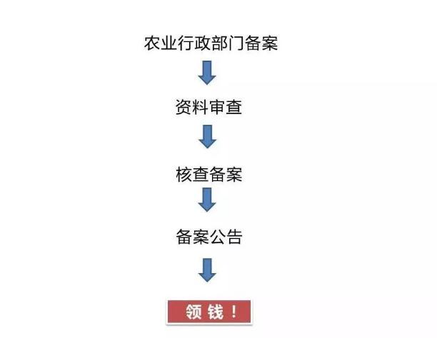 2019養羊補貼公布.