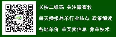 打算養羊或者闊欄//.