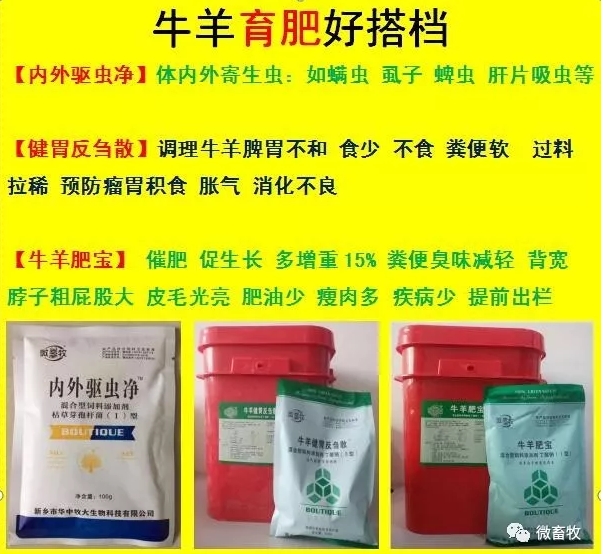 豬價上天了，羊價何時.